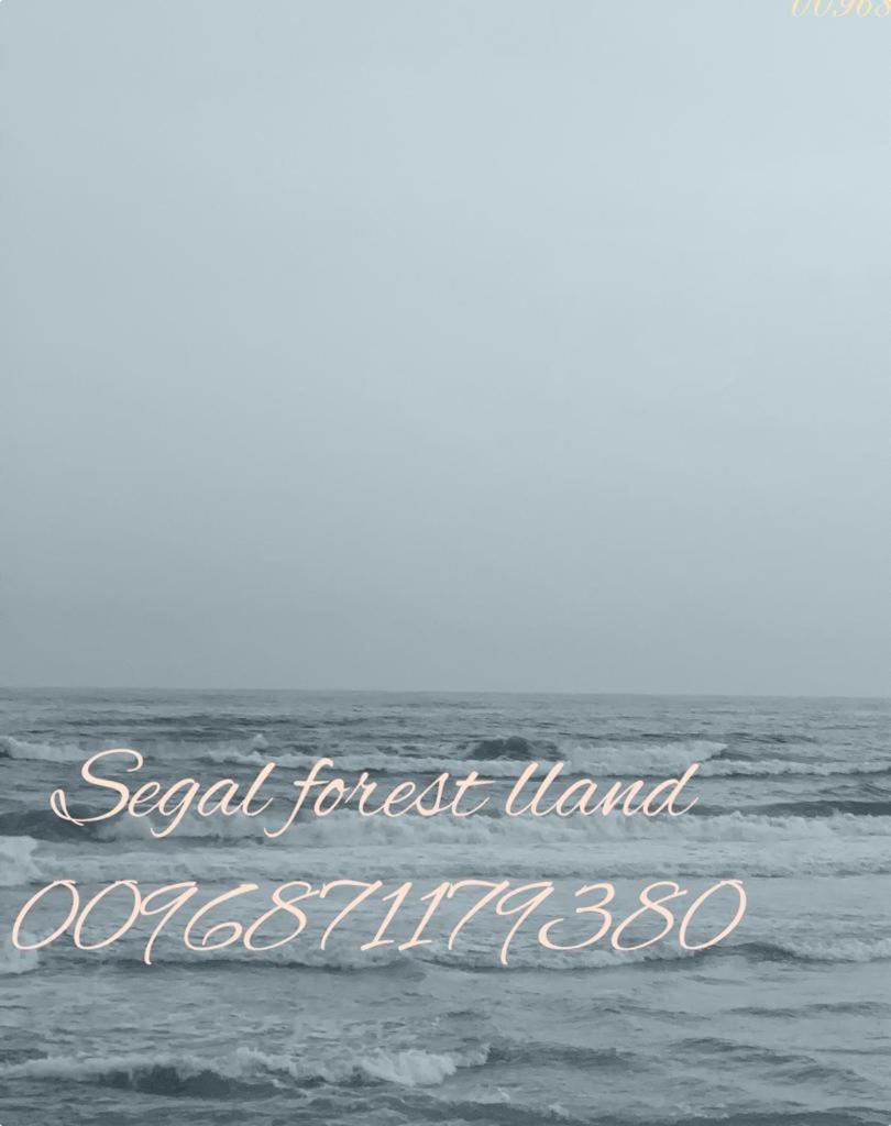 Segal Salalah-Forest Island-Hawana Extérieur photo
